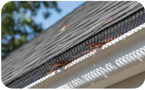 Gutter Guard Mesh